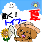 動く！トイプー２２「夏」