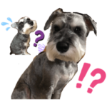 ポッターとハリーの日常☻２