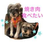 ポッターとハリーの日常☻3