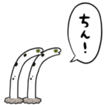 なかよしペアチンアナゴ