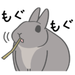 もしも、うさぎと一緒なら　第2弾