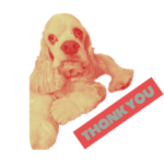 beaucoup Blanc‼︎ 僕ブラン