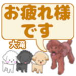 大滝「おおたき」さんのトイプードル会話