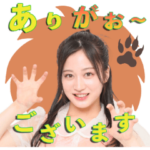 NMB48 TeamM