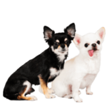 ペコちゃんポコちゃんのスタンプです。