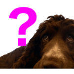 コペちゃんスタンプ