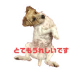 ジャックなミッキーユチョン