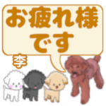 李「り」さんのトイプードル会話