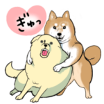 「今日もブブはからまわり。」の犬たち