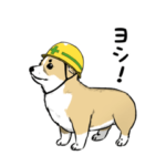 犬とうさぎとあらいぐまとカエル