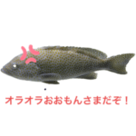 魚魚魚　魚を食べると