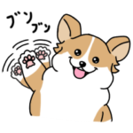 みんな大好き！コーギー！3