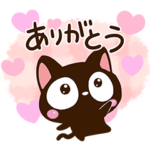 毎日便利★小さい黒猫