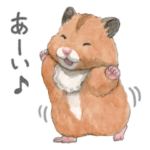 ハムスター助六の日常７