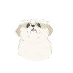 いろいろな犬ども