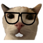 silly calico cat memes