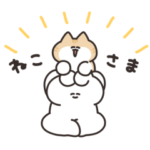 猫とうさちゃん　その２