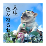 キナ姐さんのスタンプ