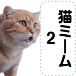 猫ミーム詰め合わせセット2