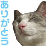 かわいいアッシュくん