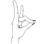 ナイスなおてて