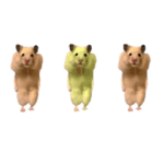 楽しいハムスター 2