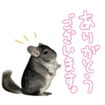 ミセバヤスタンプ①