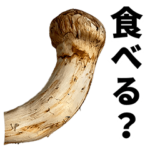 松茸ボーイの日常