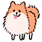 さよならポメラニアン1