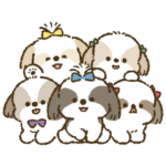 まるまるシーズーちゃんず