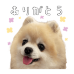 しあわせのたれめ2