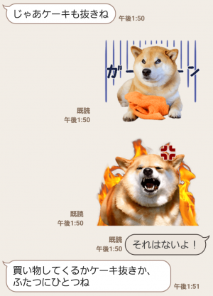 【公式スタンプ】柴犬まる スタンプ (6)