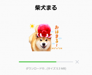 【公式スタンプ】柴犬まる スタンプ (2)