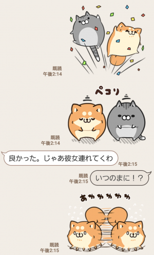【限定無料スタンプ】ボンレス犬猫 x 便利アカウント スタンプ(2016年11月21日まで) (11)