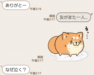 【限定無料スタンプ】ボンレス犬猫 x 便利アカウント スタンプ(2016年11月21日まで) (13)