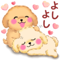 気持ちを伝える♥かわいいトイプードル