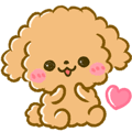 気持ち伝わる♡ふわもこ♡トイプー