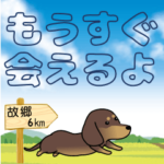 激しく尻尾をふって飛び出す犬