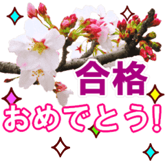 動く 合格祝いに花を 桜 無料スタンプや隠し無料スタンプが探せる Lineスタンプバンク