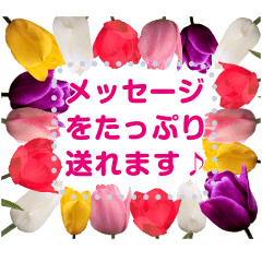 春のメッセージ 桜とチューリップ添え 無料スタンプや隠し無料スタンプが探せる Lineスタンプバンク