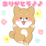 飛び出す♡もふもふしばいぬ