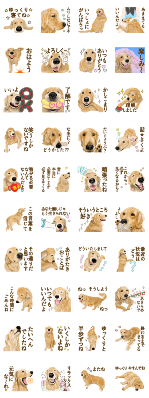 優しい犬 ゴールデンレトリバー 無料スタンプや隠し無料スタンプが探せる Lineスタンプバンク