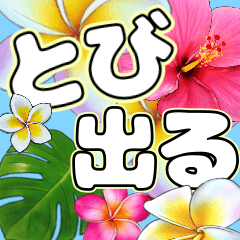 飛び出して動く 南国ハワイの華やかな花 Line無料スタンプ 隠しスタンプ 人気スタンプまとめサイト スタンプバンク