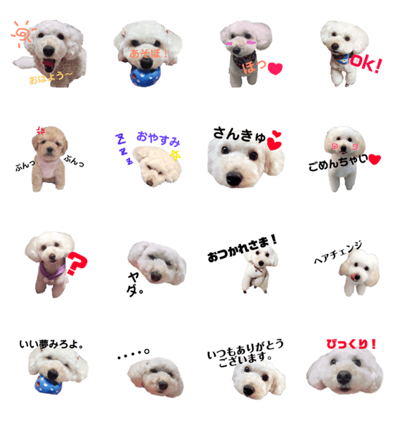 愛犬くまの絵文字 Line無料スタンプ 隠しスタンプ 人気スタンプ クチコミサイト スタンプバンク