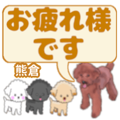 熊倉 くまくら さんのトイプードル会話 無料スタンプや隠し無料スタンプが探せる Lineスタンプバンク