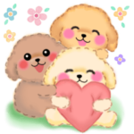 気づかいのできる♥かわいいトイプードル