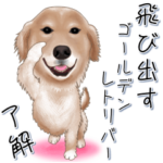 飛び出すゴールデンレトリバー
