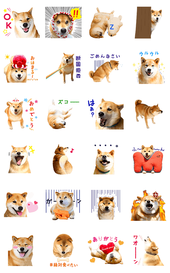 柴犬まる Line無料スタンプ 隠しスタンプ 人気スタンプ クチコミサイト スタンプバンク