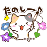 小さい三毛猫☆夏