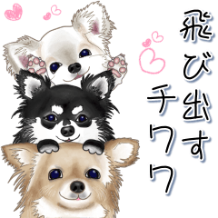 飛び出すチワワ Line無料スタンプ 隠しスタンプ 人気スタンプまとめサイト スタンプバンク